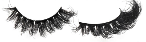 Style 5 - Image 2